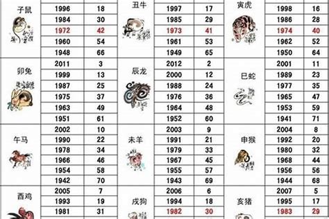 2028五行|2028年属什么生肖 2028年属什么生肖是什么命